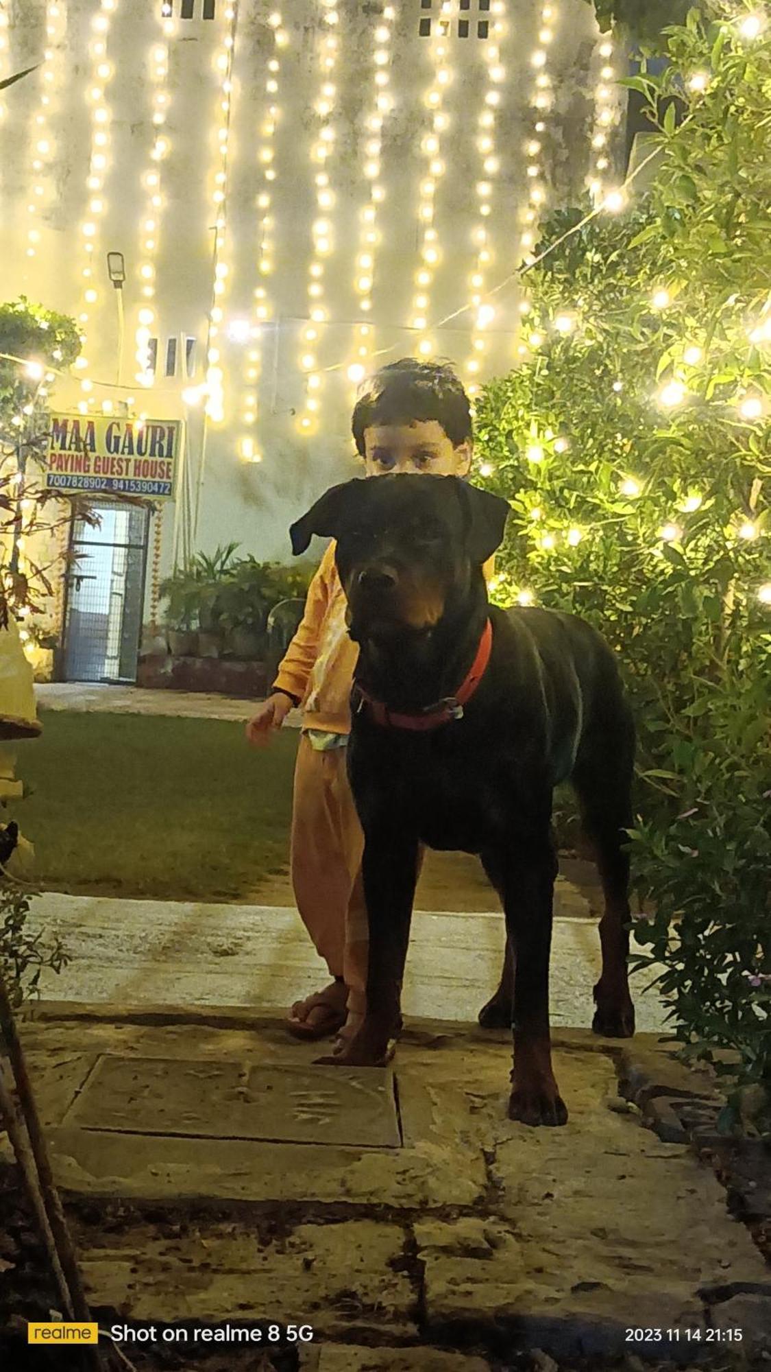 Maa Gauri Paying Guest House Varanasi Exterior photo